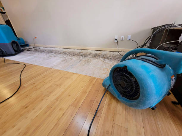 Professional Flood Damage Cleanup technician working in Branch, MI